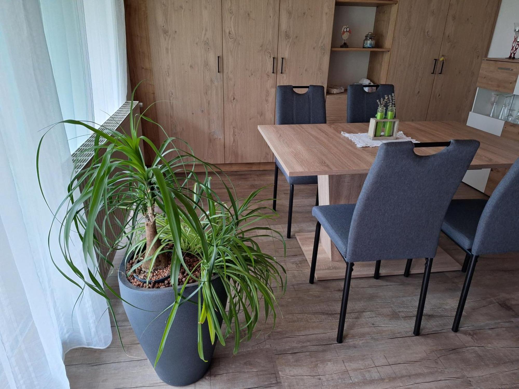Apartment Eva Sautens Eksteriør bilde